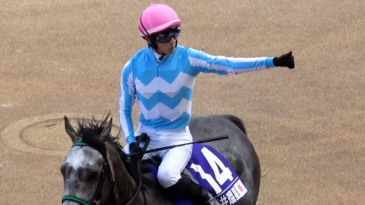 2025 【WASJ】第1戦を制したのは坂井瑠星‼ 現地映像 ハート