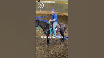 Speed Transitions On Your Gaited Horse! Part 2! | The Horse Guru-Michael Gascon