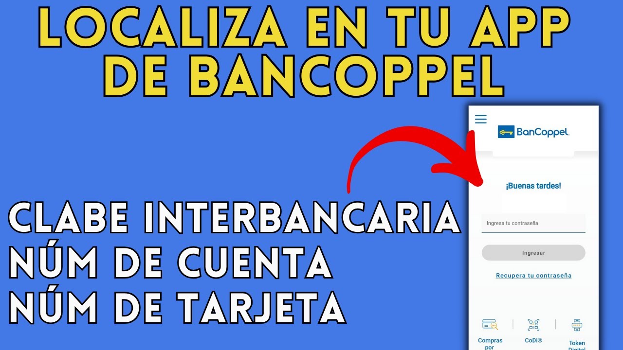 Localiza La CLabe Interbancaria Numero De Cuenta Y Numero De Tarjeta localiza-la-clabe-interbancaria-numero-de-cuenta-y-numero-de-tarjeta