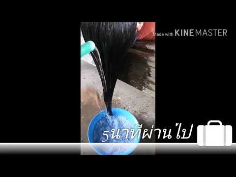 รีวิว ทรีทเม้นท์ ชาโคเคราติน แลสลวย จบทุกปัญหาของเส้นผม