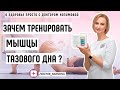 Тренировка мышц тазового дна – самостоятельно и при помощи тренажера