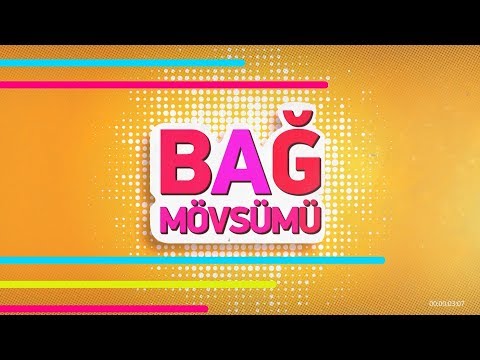 Bağ mövsümü (05.08.2019)