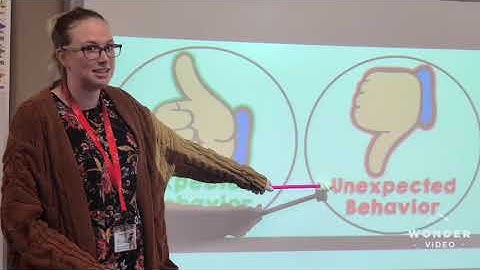 expected and unexpected behaviors 2