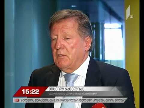 ჟოზეფ დოული: ვანო მერაბიშვილი პოლიტიკური პატიმარია