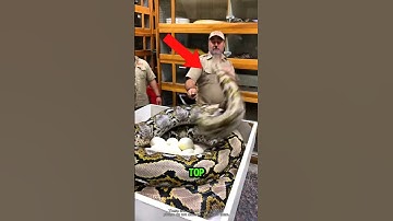 Top 5 Best Close Call Moments Ever Caught on Camera! 😲😵‍💫