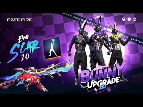 New Bunny Bundle