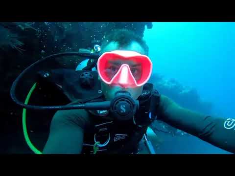 🌊Enchanting Underwater Adventure at Banana Reef: Maldives Dive Delight!  🏝️🐟 #travel @PADI  @GoPro