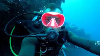 🌊Enchanting Underwater Adventure at Banana Reef: Maldives Dive Delight!  🏝️🐟 #travel @PADI  @GoPro screenshot 3