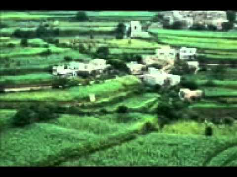 مزمار احمد مبخوت