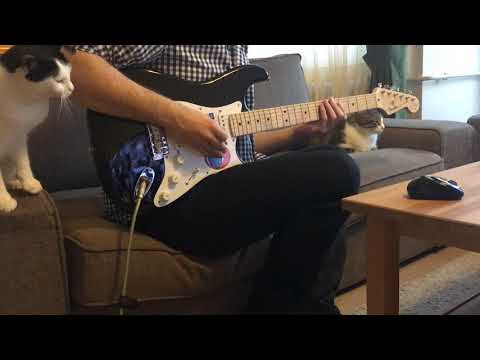 Erik Dalı-elektro gitar(ATAKAN