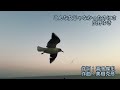 【こんな女じゃなかったのにさ 】 広野ゆき
