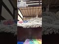 Part 4. Series 1 we yap to you while making bracelets.