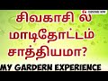 My sivakasi gardern experience  flaws sivakasiis terrace gardening possible in sivakasi garden