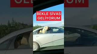 Bekle Sivas Geliyorum 😂😂