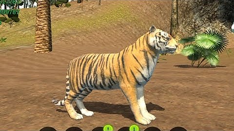 The Tiger | gameplay walkthrough part 7 | Red Chilli Gaming | Android iOS