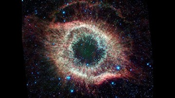 Alan Watts The Web Of Life