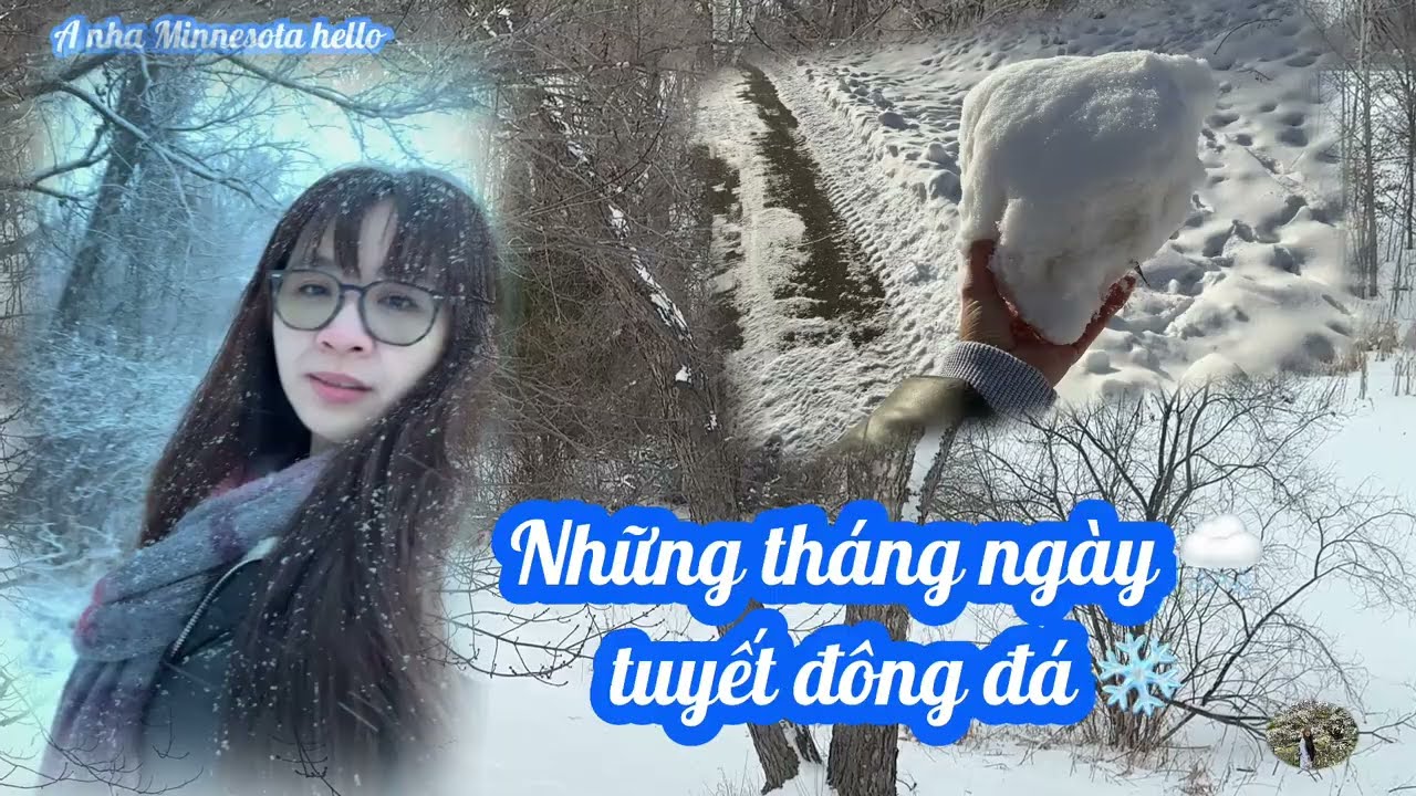 Những tháng ngày tuyết đông đá,miền Bắc nước Mỹ 🇺🇸 ,đi bộ❄️☕️☃️✨.