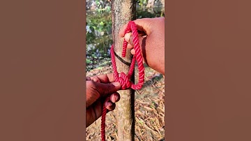 Incredible slip knots! I believe it is Ship and cargo very Effective