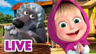 🔴 LIVE! Masha e Orso 👱‍♀️🐻 Sentiero del lupo 🚖🐺 Cartoni animati per bambini