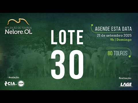 LOTE 30 V90812 - 19º Leilão de Touros Nelore OL