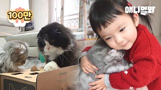 How A 3-Year-Old Butler Kid Stops Cats Fighting