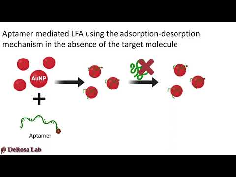 Lateral Flow Assays