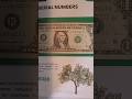 How to find Rare Dollar Bill Mistakes? #currency