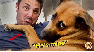 🐶😍 When Dogs Become Totally Obsessed With Their Humans 🐶
