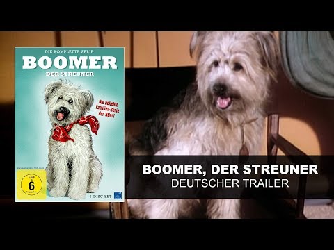 Boomer Der Streuner Deutscher Trailer Ksm Youtube