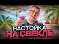 Настойка на свекле. Элементарно и очень вкусно!💣