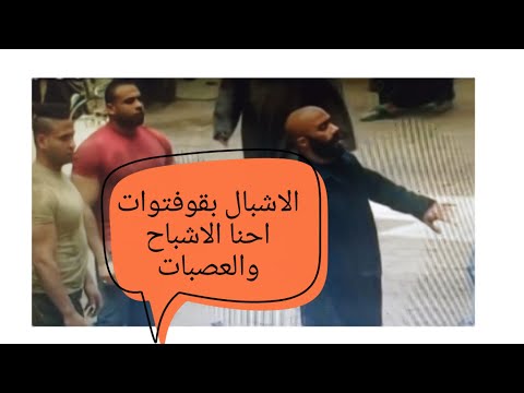 حالات واتس الاشبال بقو فتوات تطلعومين احنا الاشباح والعصبات
