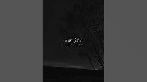 سورة النحل عبدالرحمن مسعد