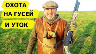 Охота на гусей и уток. Неповторимый вкус охоты/FARMING THE WILD (Охотник и рыболов)