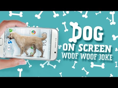 dog-on-screen:-woof-woof-joke---dog-for-android-phone