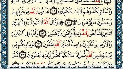 سورة النحل مكتوبة بيشةوا قادر الكردي Surah Al Nahl Peshawa Kurdi