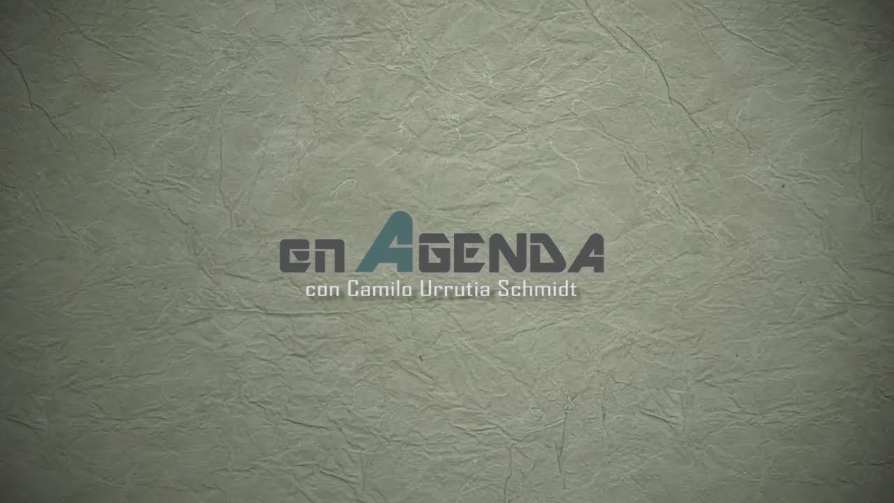 PROGRAMA EN AGENDA Nº 5 19 DE JULIO 2017