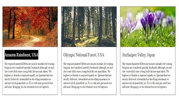 Text background color animation on hover | CSS3 Animation Snippets