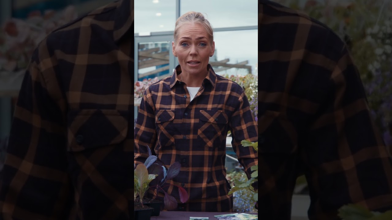 BYKO - Garðurinn - Matjurtir