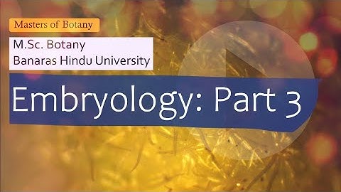 Embryology: Part-3 | BHU M.Sc. Botany Entrance Exam | Answer & Explanation [2008-2020 Questions]
