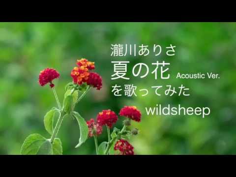瀧川ありさ 夏の花 Acoustic Verで歌ってみた Youtube 瀧川ありさ 夏の花 Acoustic Verで歌ってみた Youtube
