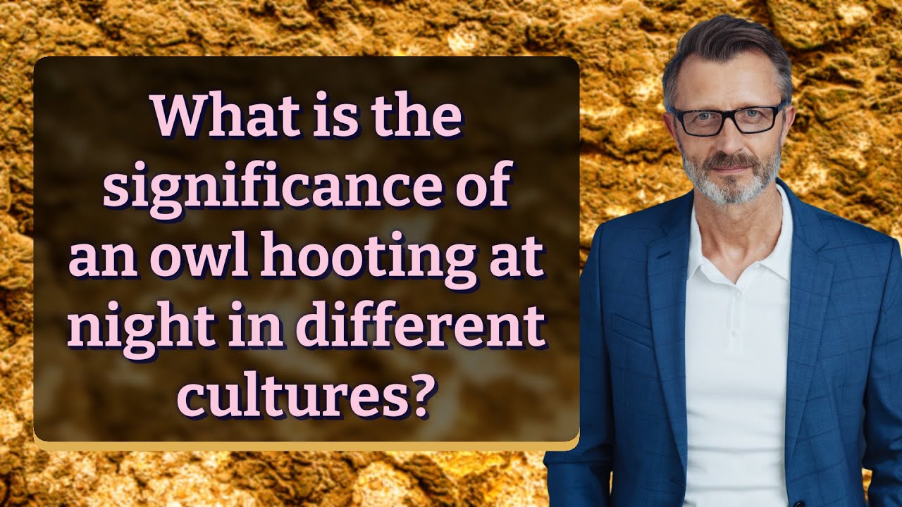What Is The Significance Of An Owl Hooting At Night In Different what-is-the-significance-of-an-owl-hooting-at-night-in-different
