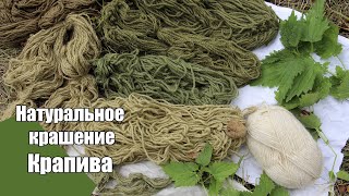 :   . 