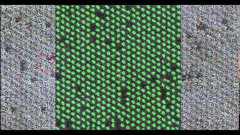 Oil Palm Mapping Crop Census and Gap Analysis