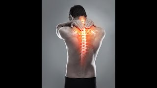Keep Your Spine Healthy With Paul Chen | Life Rx Los Angeles