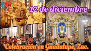 Mañanitas a la Virgen de Guadalupe en  Zacatecas. 12 de diciembre con nuestra sra de Guadalupe.