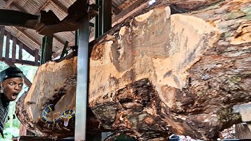 Unexpected surprise when sawing a hollow teak log