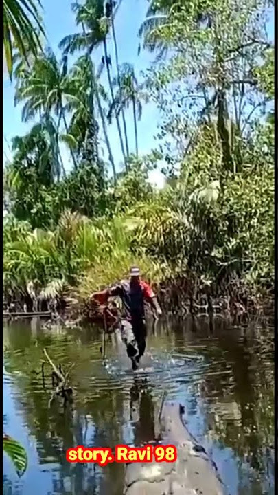 Story WA mancing lucu || ketawa takut dosa||