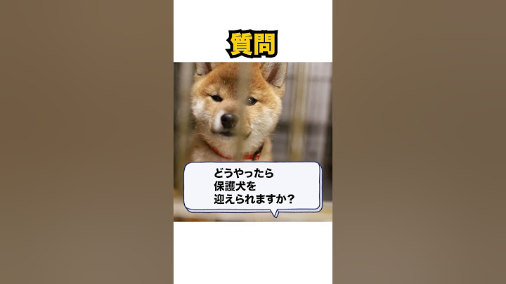 Q.どうしたら保護犬を飼えますか？