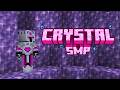 This is Minecrafts BEST SMP (Smp Applications Open)