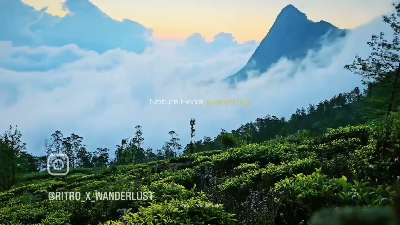 Munnar beauty 🥰🔥